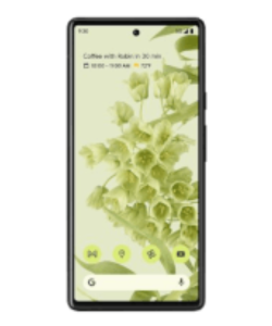 Pixel 6