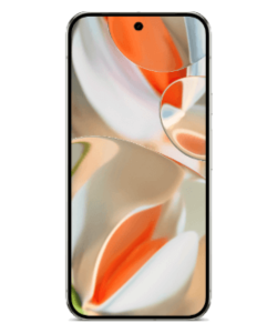 Pixel 9 Pro XL